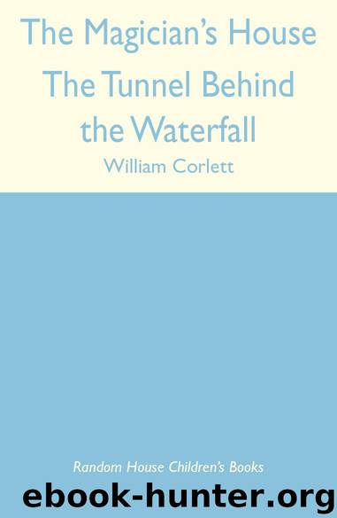 The Tunnel Behind the Waterfall by William Corlett