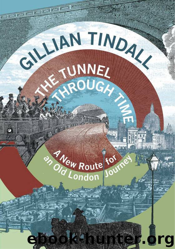 The Tunnel Through Time by Gillian Tindall