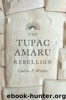 The Tupac Amaru Rebellion by Walker Charles F