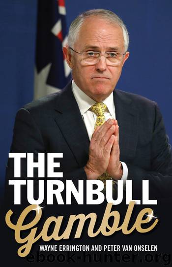 The Turnbull Gamble by Wayne Errington