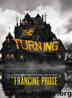 The Turning by Francine Prose