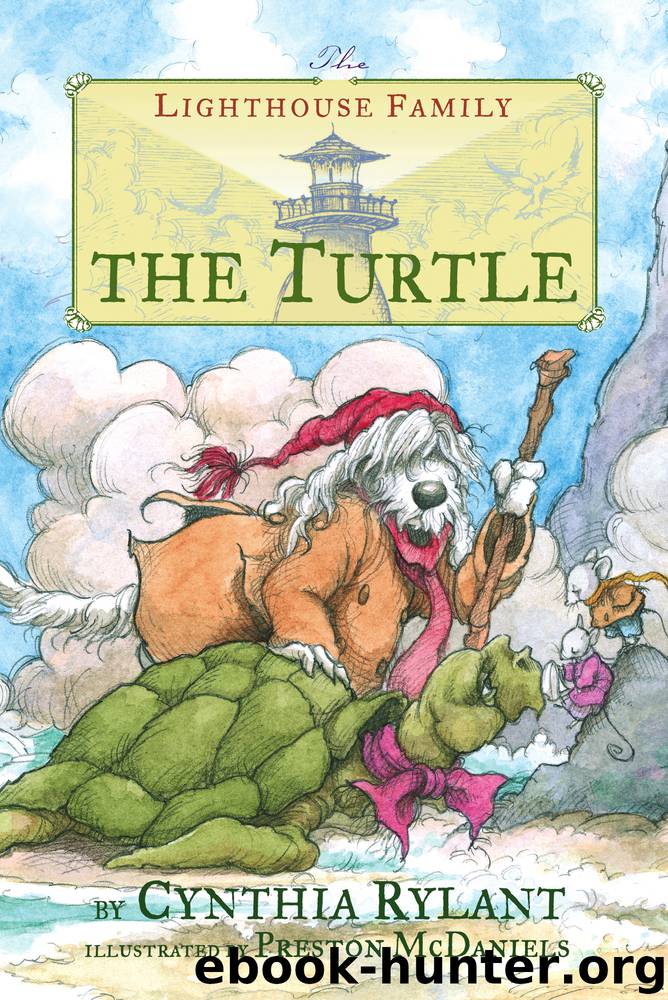The Turtle by Cynthia Rylant