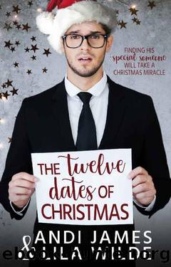 The Twelve Dates of Christmas by Andi James & Lila Wilde