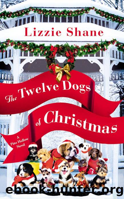 The Twelve Dogs of Christmas by Lizzie Shane