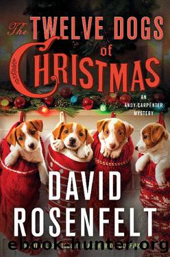 The Twelve Dogs of Christmas: An Andy Carpenter Mystery by David Rosenfelt