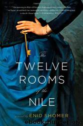 The Twelve Rooms of the Nile by Enid Shomer