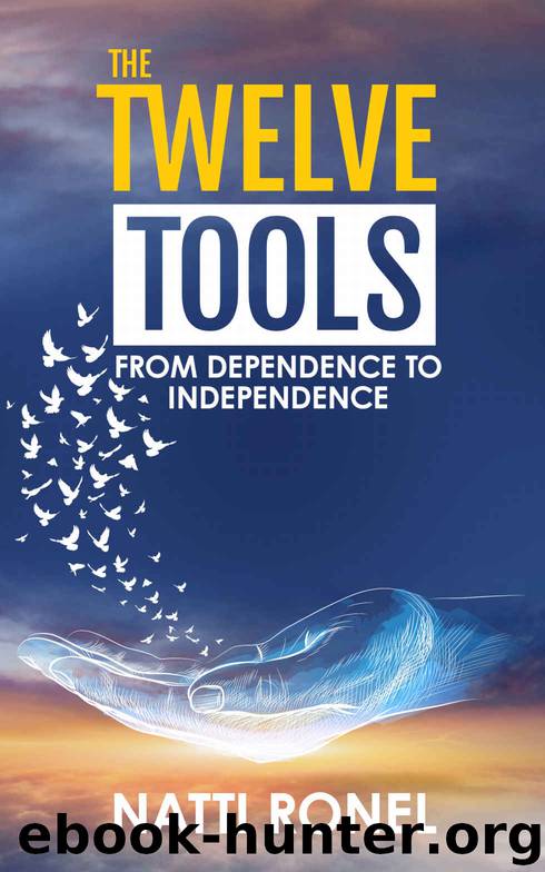 The Twelve Tools by Natti Ronel