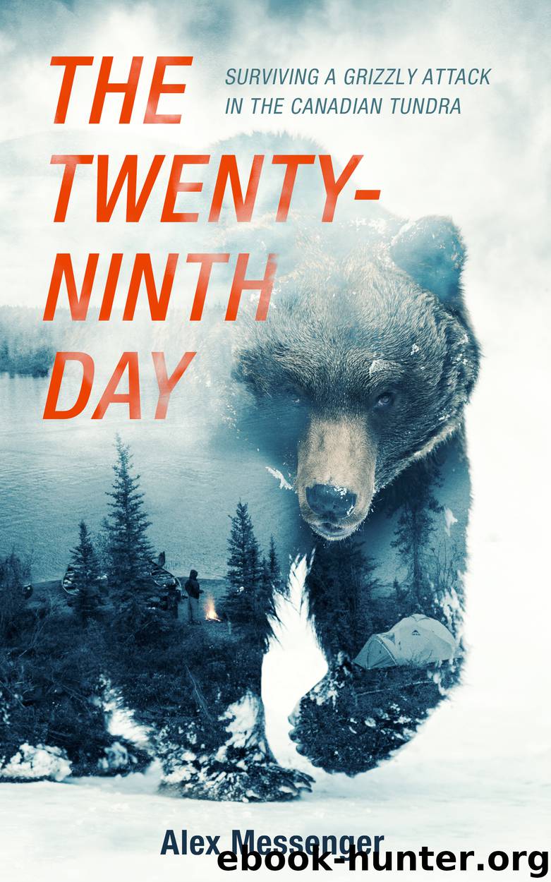 The Twenty-Ninth Day by Alex Messenger