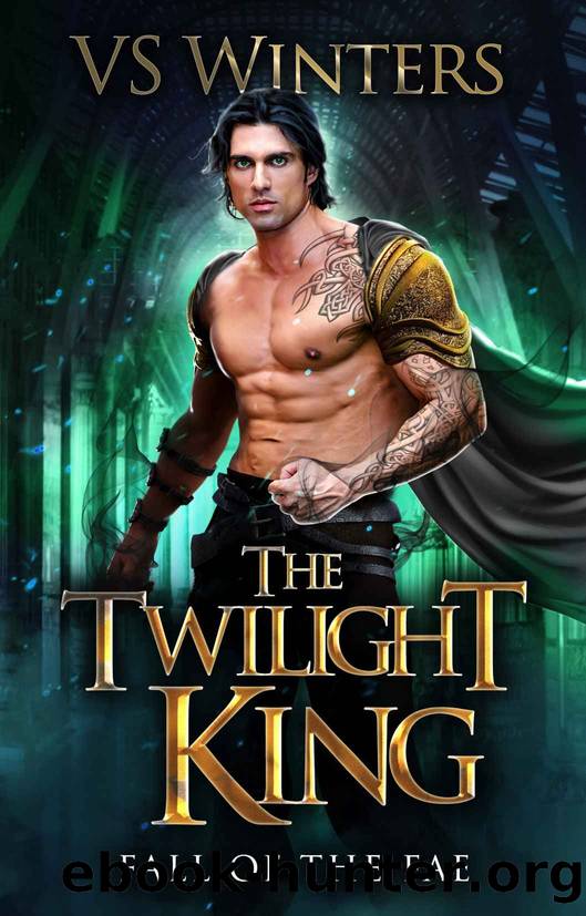 The Twilight King by VS Winters
