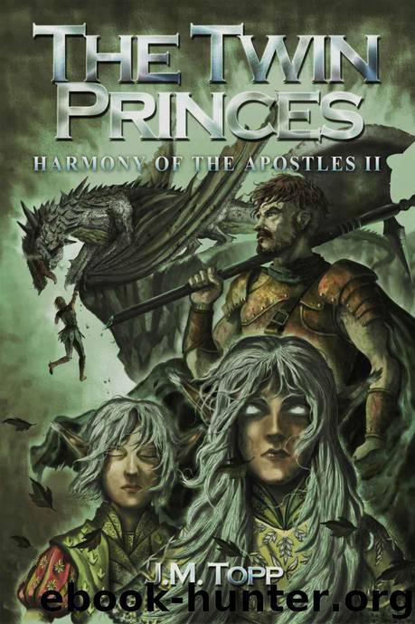 The Twin Princes by J M Topp