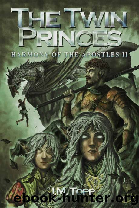 The Twin Princes by J. M. Topp
