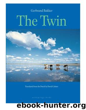 The Twin by Gerbrand Bakker