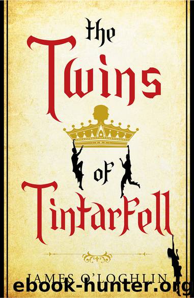 The Twins of Tintarfell by James O'Loghlin