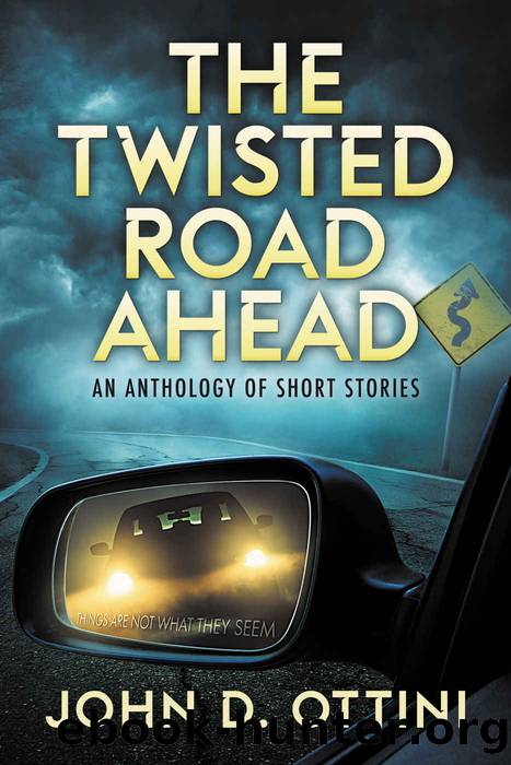 The Twisted Road Ahead by John D. Ottini