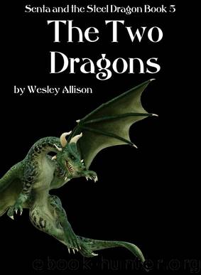 The Two Dragons by Wesley Allison