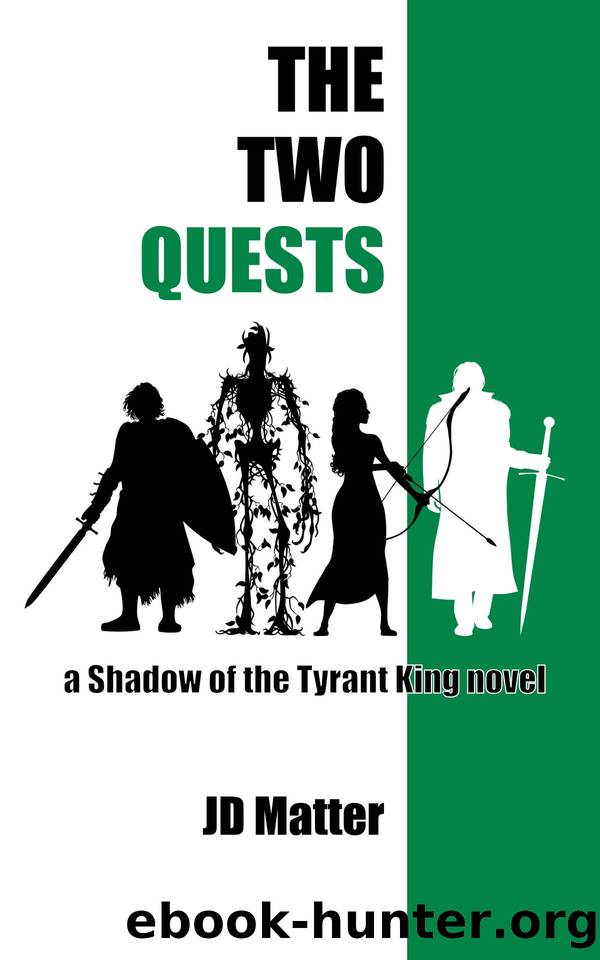The Two Quests: a Shadow of the Tyrant King novel by JD Matter