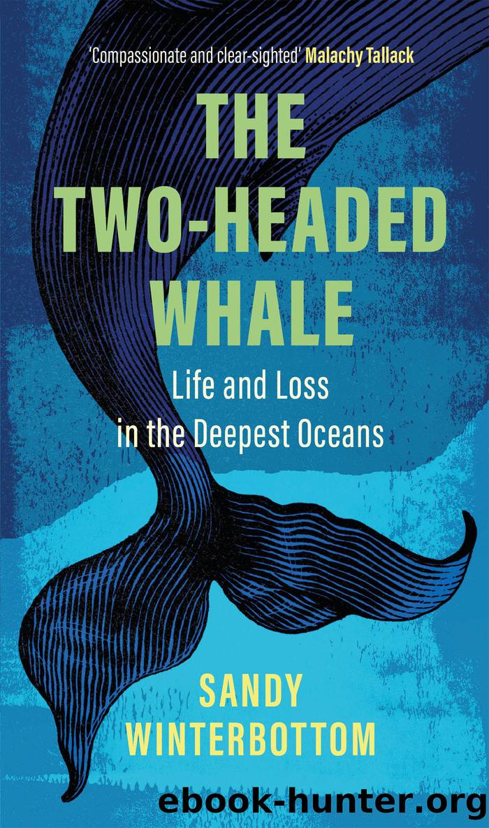 The Two-Headed Whale by Sandy Winterbottom