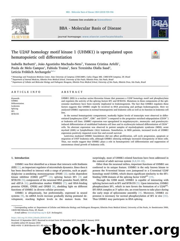 The U2AF homology motif kinase 1 (UHMK1) is upregulated upon hematopoietic cell differentiation by unknow