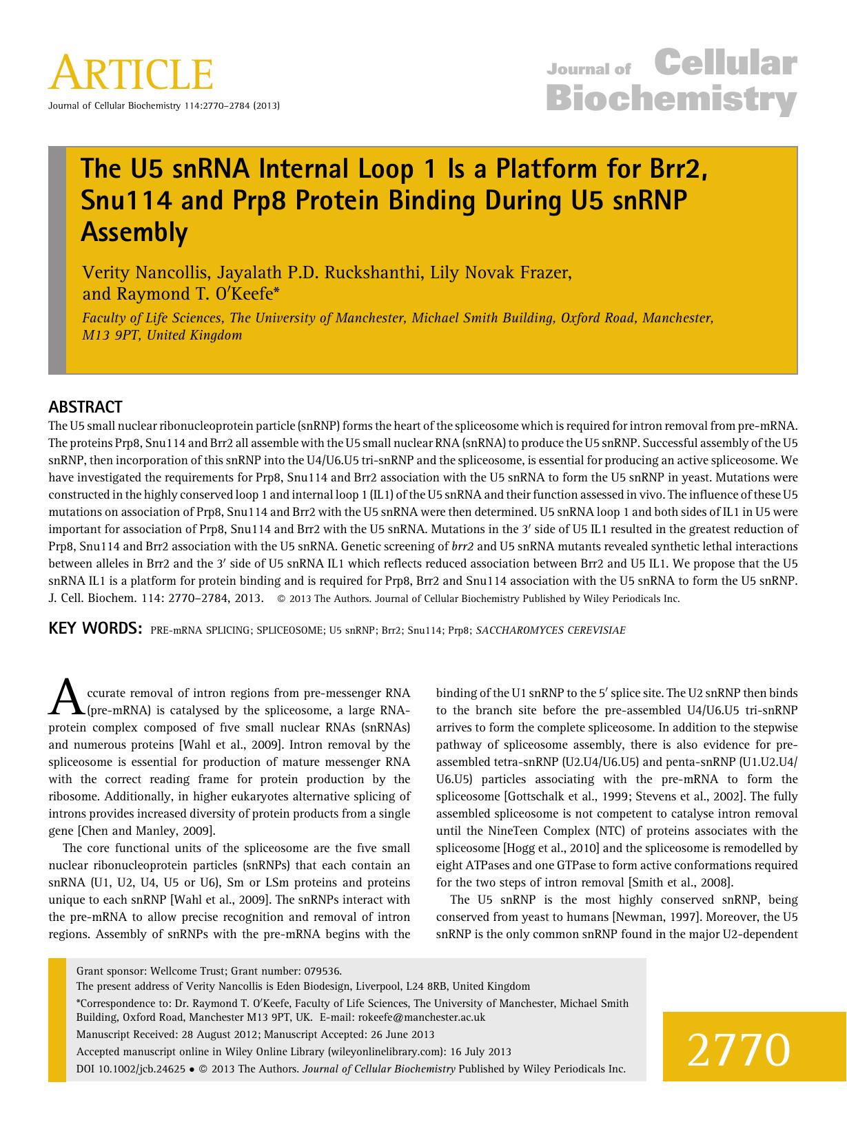 The U5 snRNA internal loop 1 is a platform for Brr2, Snu114 and Prp8 protein binding during U5 snRNP assembly by Unknown