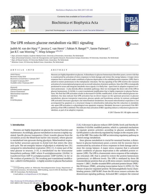 The UPR reduces glucose metabolism via IRE1 signaling by unknow