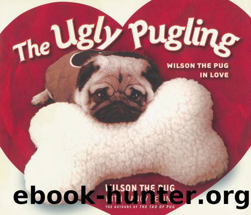 The Ugly Pugling by Nancy Levine