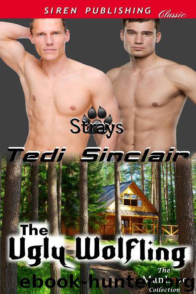 The Ugly Wolfling by Tedi Sinclair