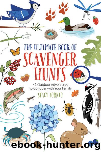 The Ultimate Book of Scavenger Hunts by Stacy Tornio