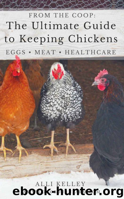The Ultimate Guide to Keeping Chickens: From the Coop: Eggs, Meat, and Healthcare by Alli Kelley