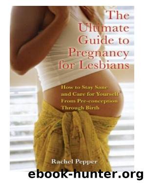 The Ultimate Guide to Pregnancy for Lesbians by Rachel Pepper