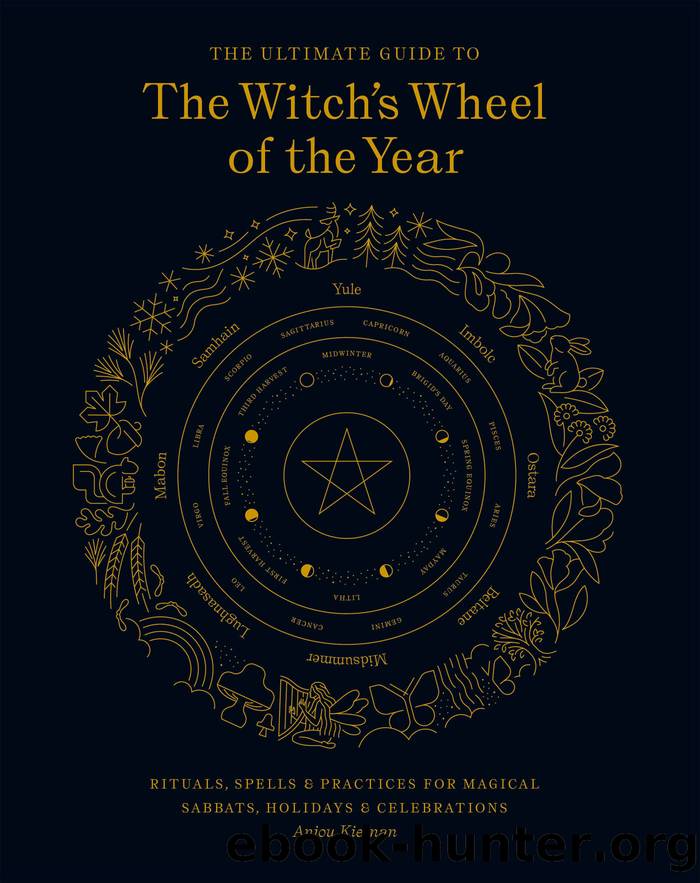 The Ultimate Guide to the Witch's Wheel of the Year by Anjou Kiernan