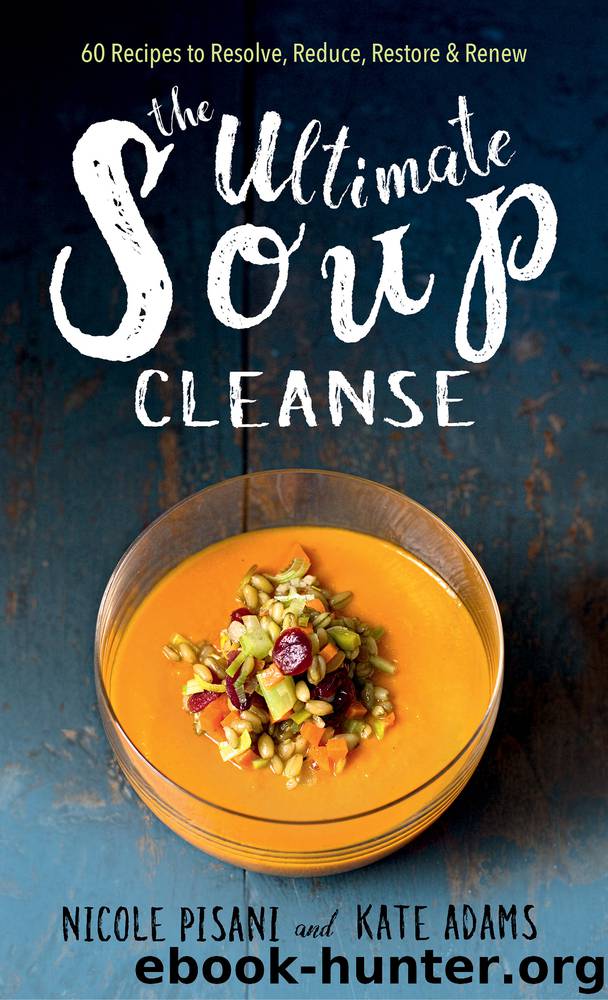 The Ultimate Soup Cleanse by Nicole Pisani & Kate Adams