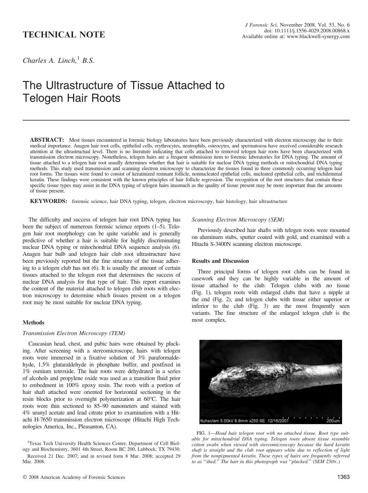 The Ultrastructure of Tissue Attached to Telogen Hair Roots by Unknown