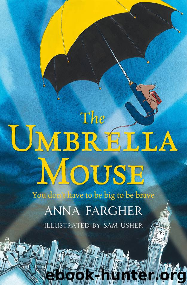 The Umbrella Mouse by Anna Fargher