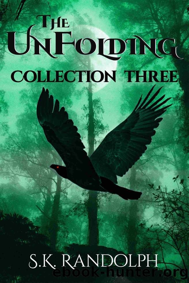 The UnFolding Collection Three by S.K. Randolph