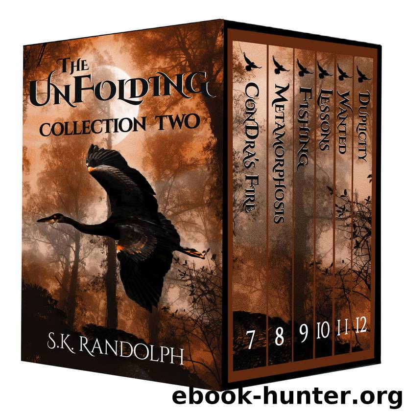 The UnFolding Collection Two by S K Randolph
