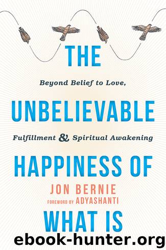 The Unbelievable Happiness of What Is by Jon Bernie