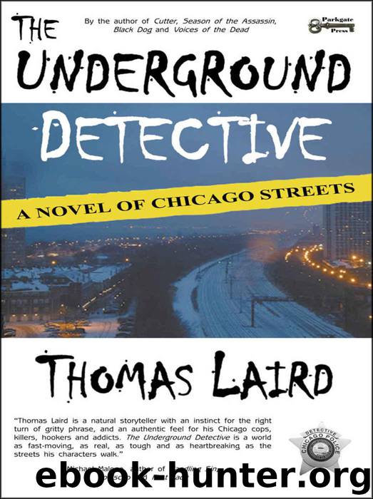 The Underground Detective: A Novel of Chicago Streets by Laird Thomas