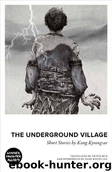 The Underground Village by Kang Kyeong-ae