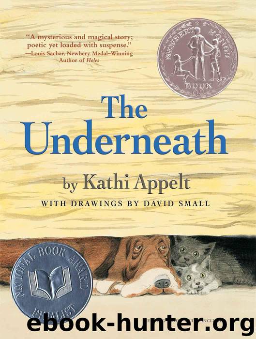 The Underneath by Appelt Kathi