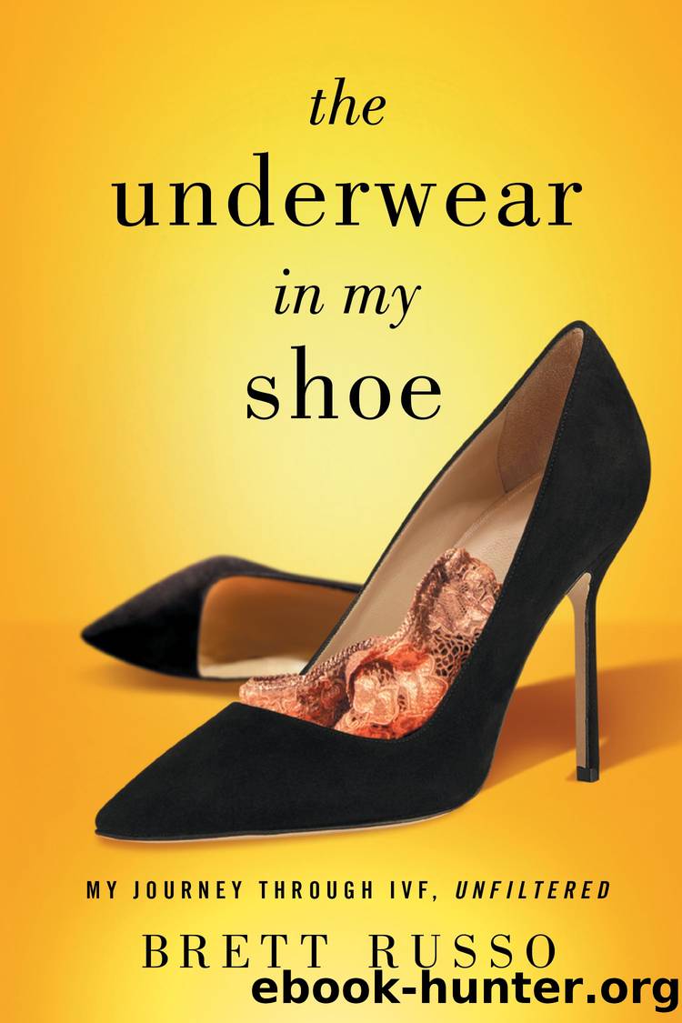 The Underwear in My Shoe: My Journey Through IVF, Unfiltered by Brett Russo