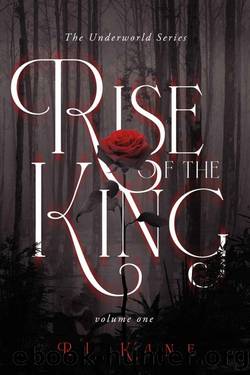 The Underworld Series: Rise of the King: Volume One by RJ Kane