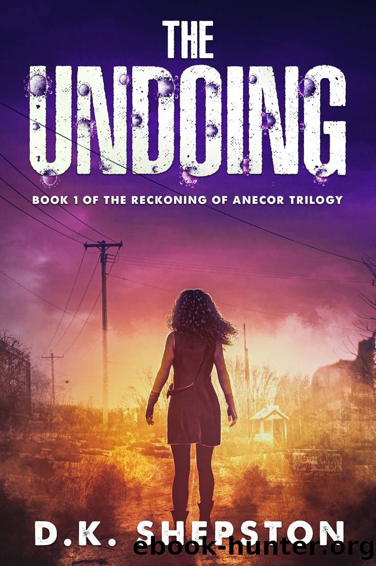 The Undoing by D.K. Shepston