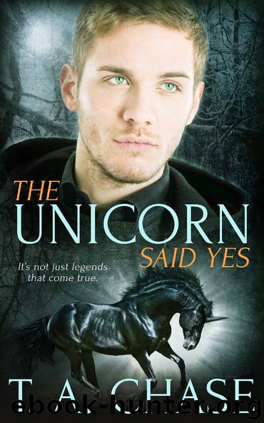 The Unicorn Said Yes by T.A. Chase