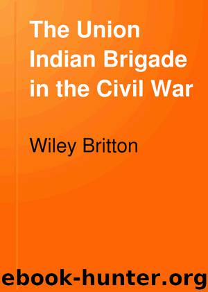 The Union Indian Brigade in the Civil War by Wiley Britton