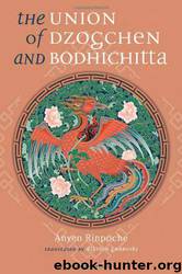The Union of Dzogchen and Bodhichitta: A Guide to the Attainment of Wisdom by Anyen Rinpoche & Allison Graboski