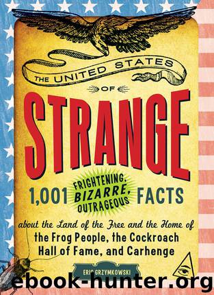 The United States of Strange by Eric Grzymkowski