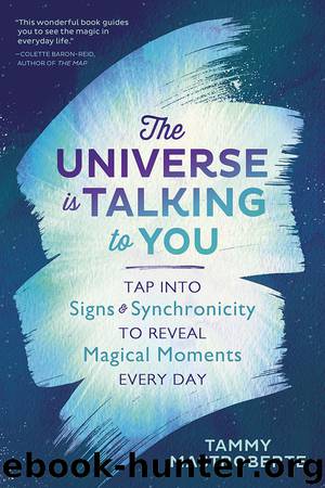 The Universe Is Talking to You by Tammy Mastroberte