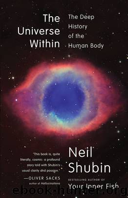 The Universe Within: The Deep History of the Human Body by Neil Shubin