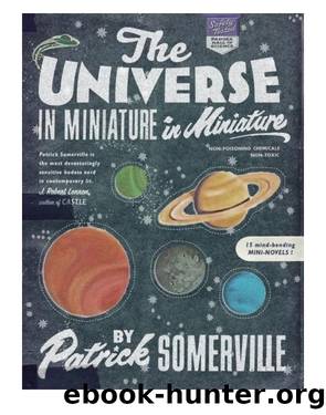 The Universe in Miniature in Miniature by Patrick Somerville