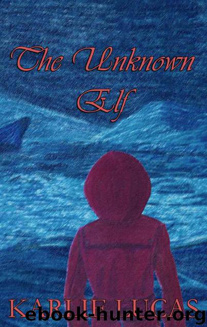 The Unknown Elf by Lucas Karlie